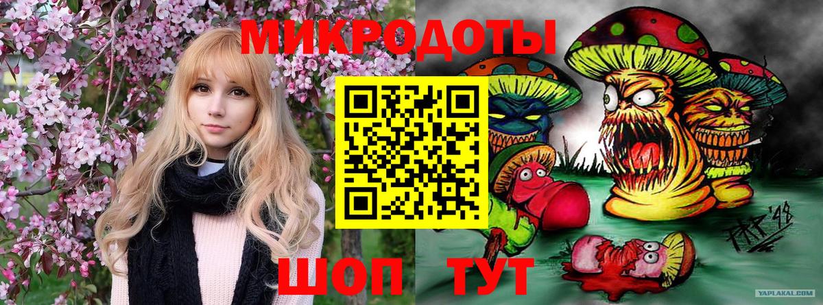 Псилоцибиновые грибы мицелий Сальск