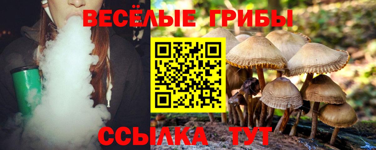 Галлюциногенные грибы Magic Shrooms  Псилоцибиновые грибы прущие грибы  Сальск  Вход с VPN 